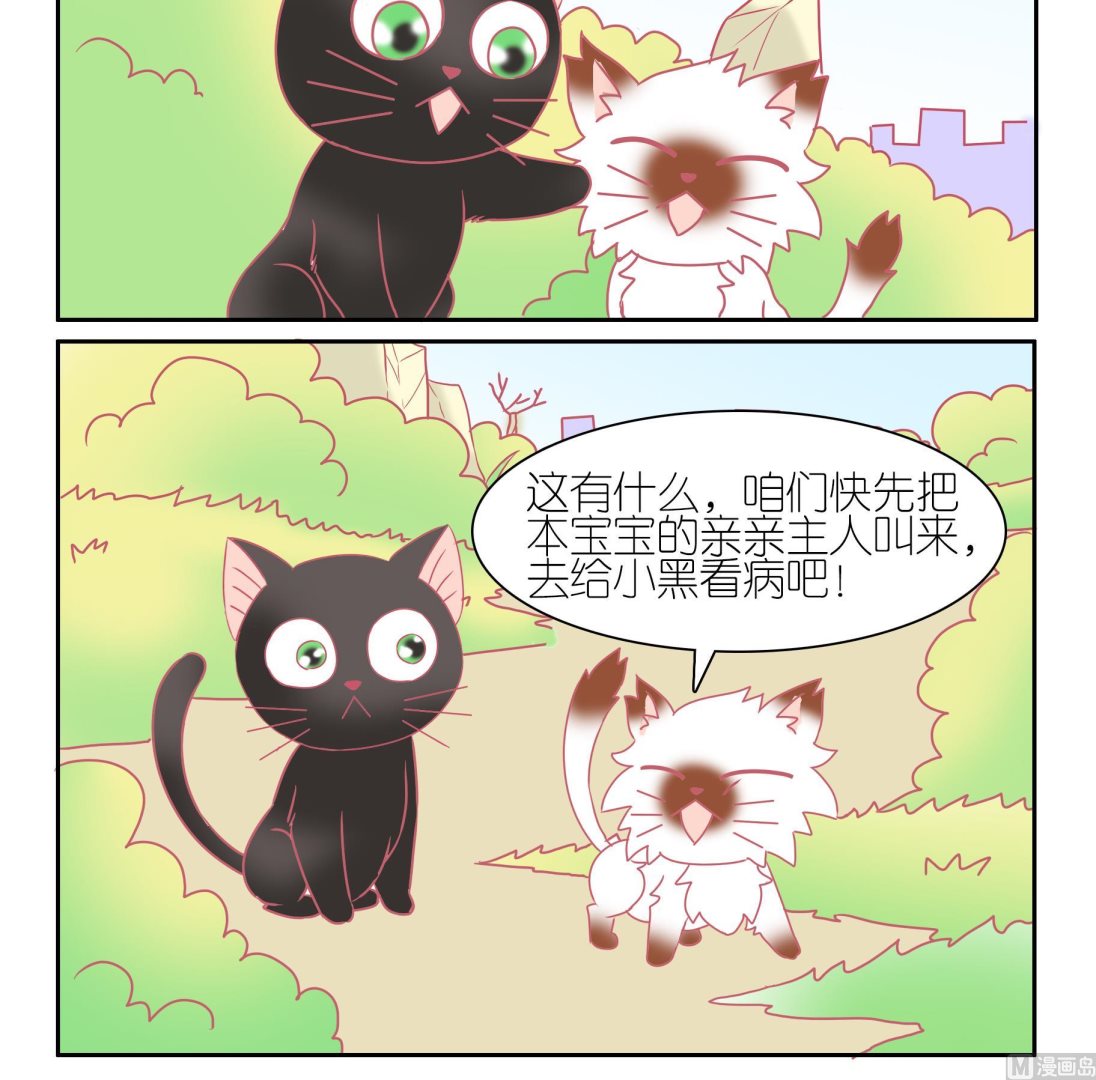 第51话 助喵能手 4-第51话