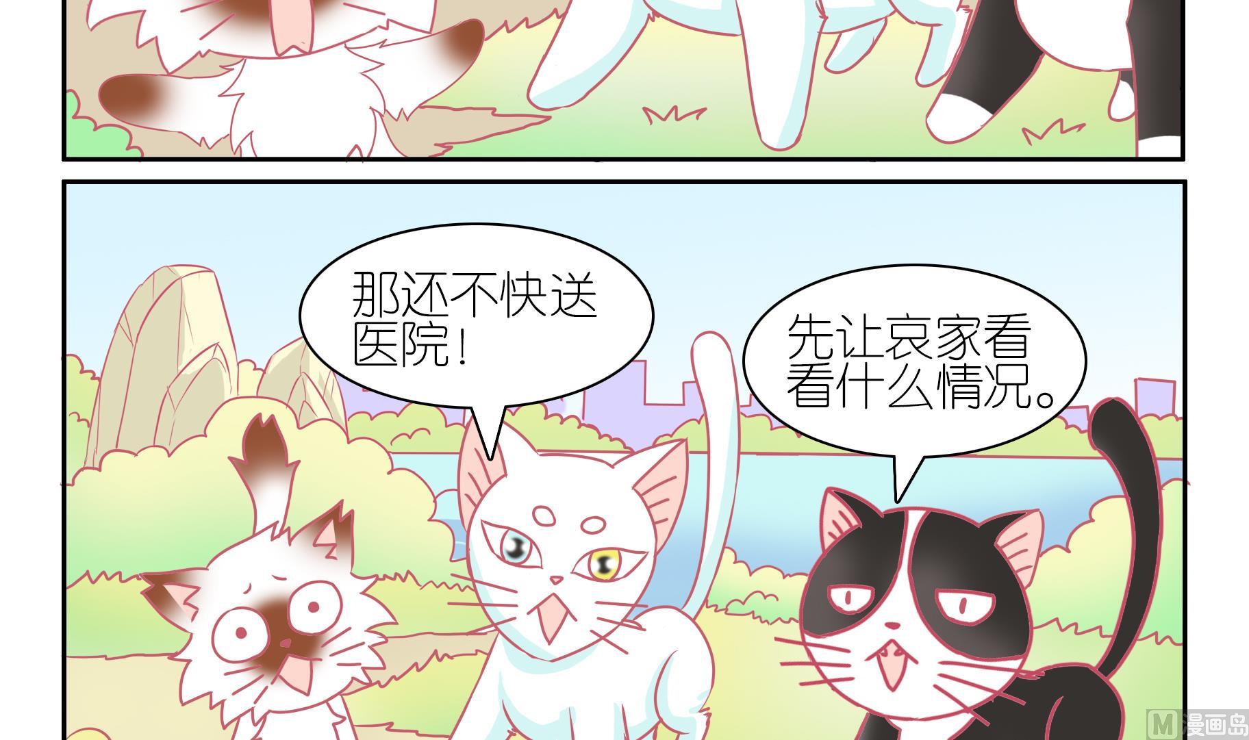 第51话 助喵能手 4-第51话