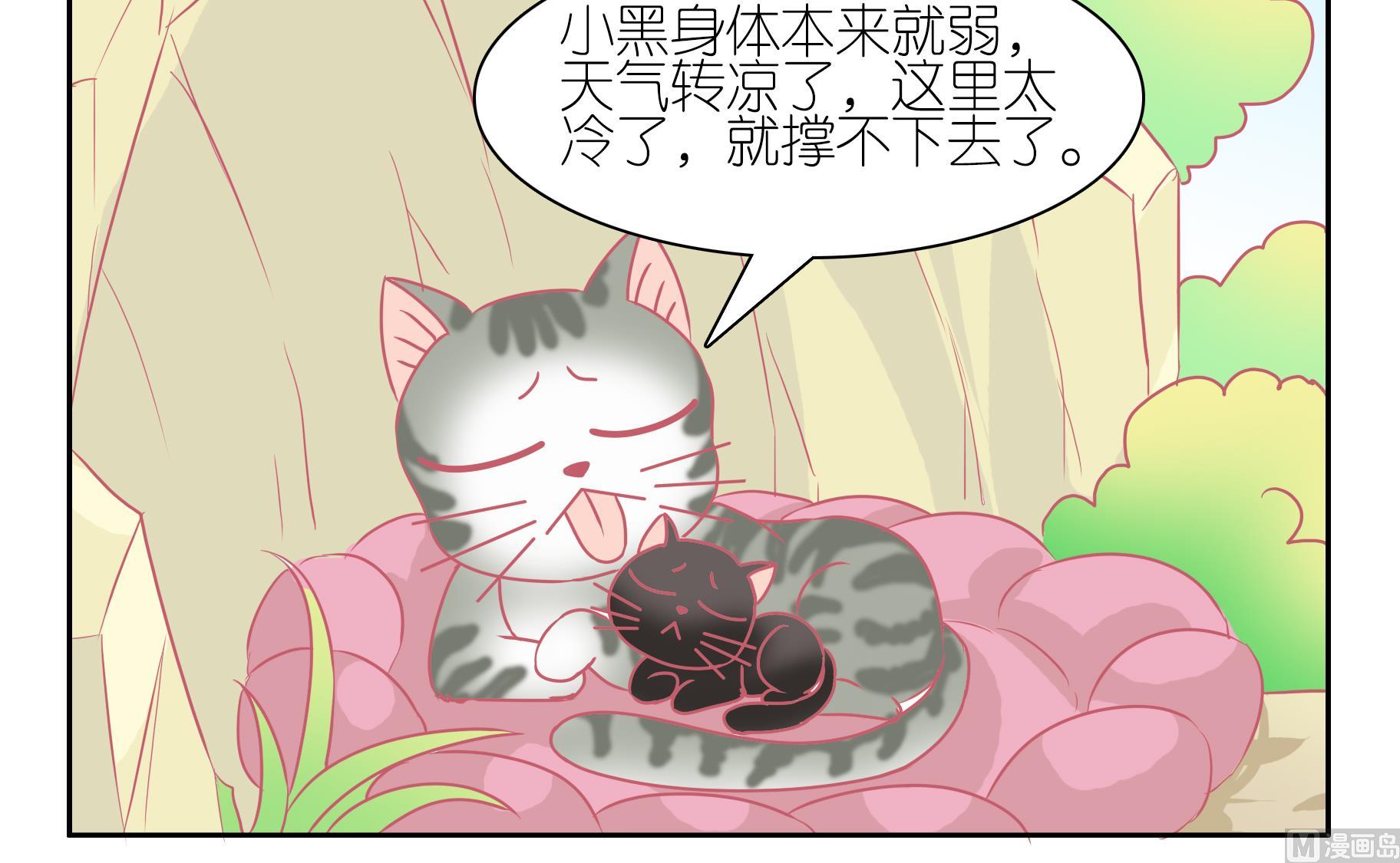 第51话 助喵能手 4-第51话