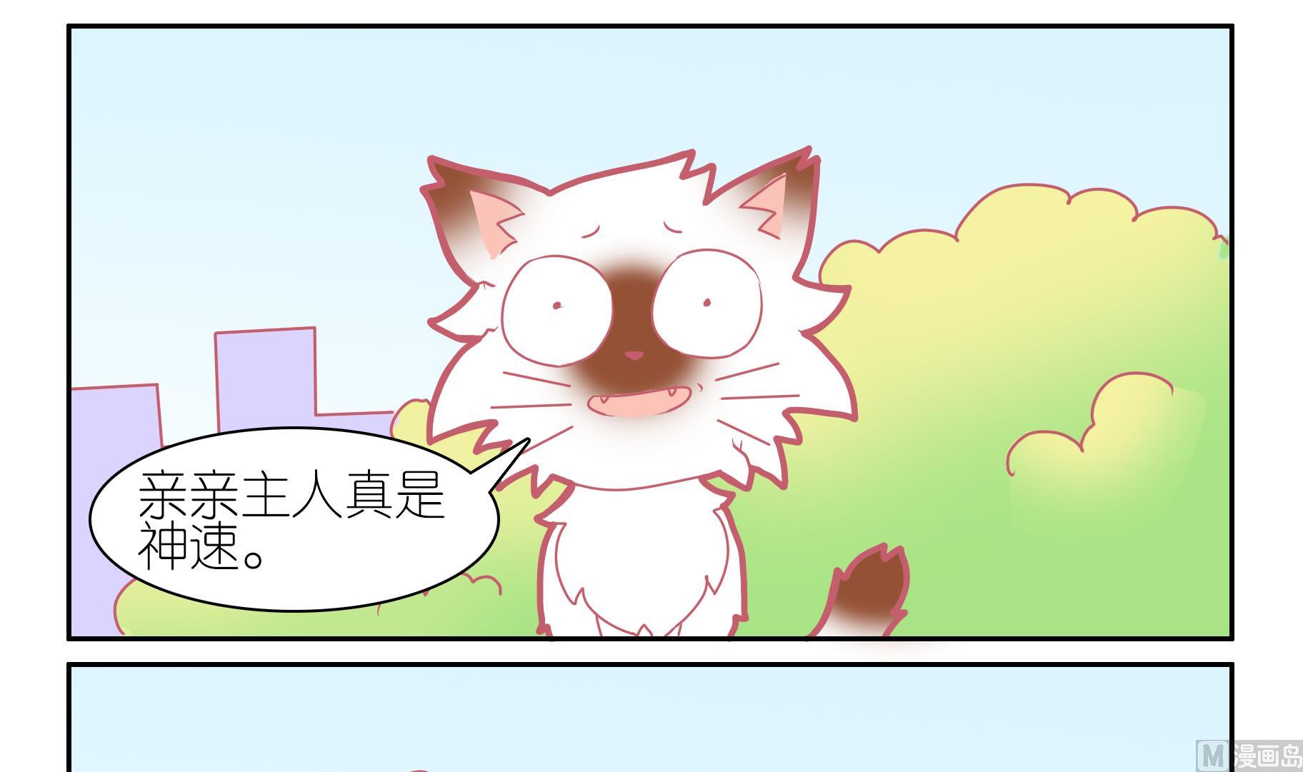 第53话 助喵能手 6-第53话