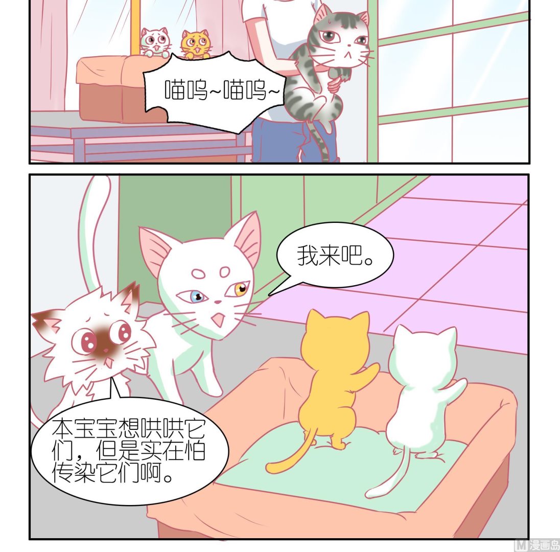 第53话 助喵能手 6-第53话