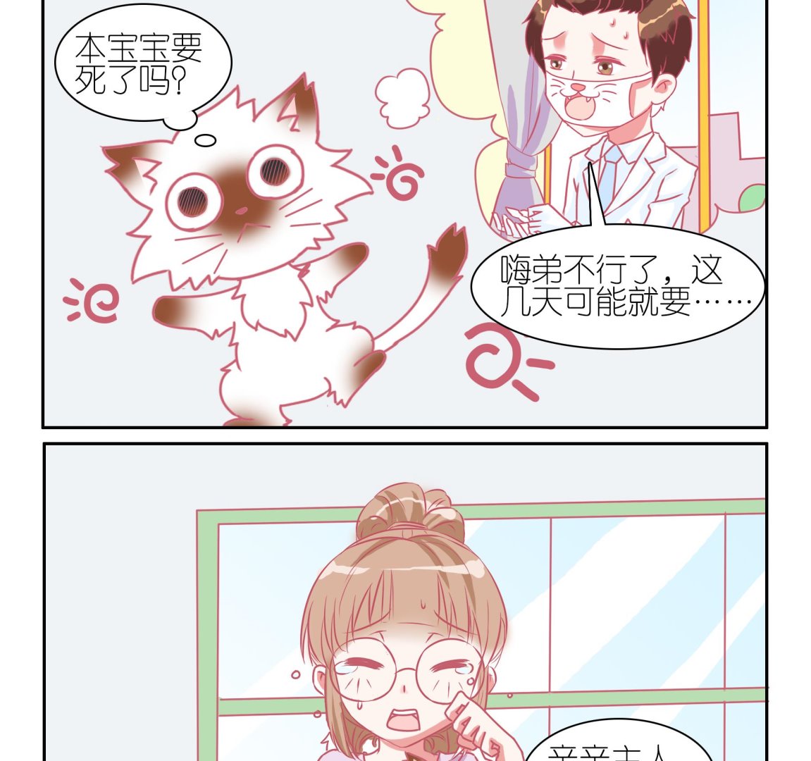 第55话 助喵能手 8-第55话