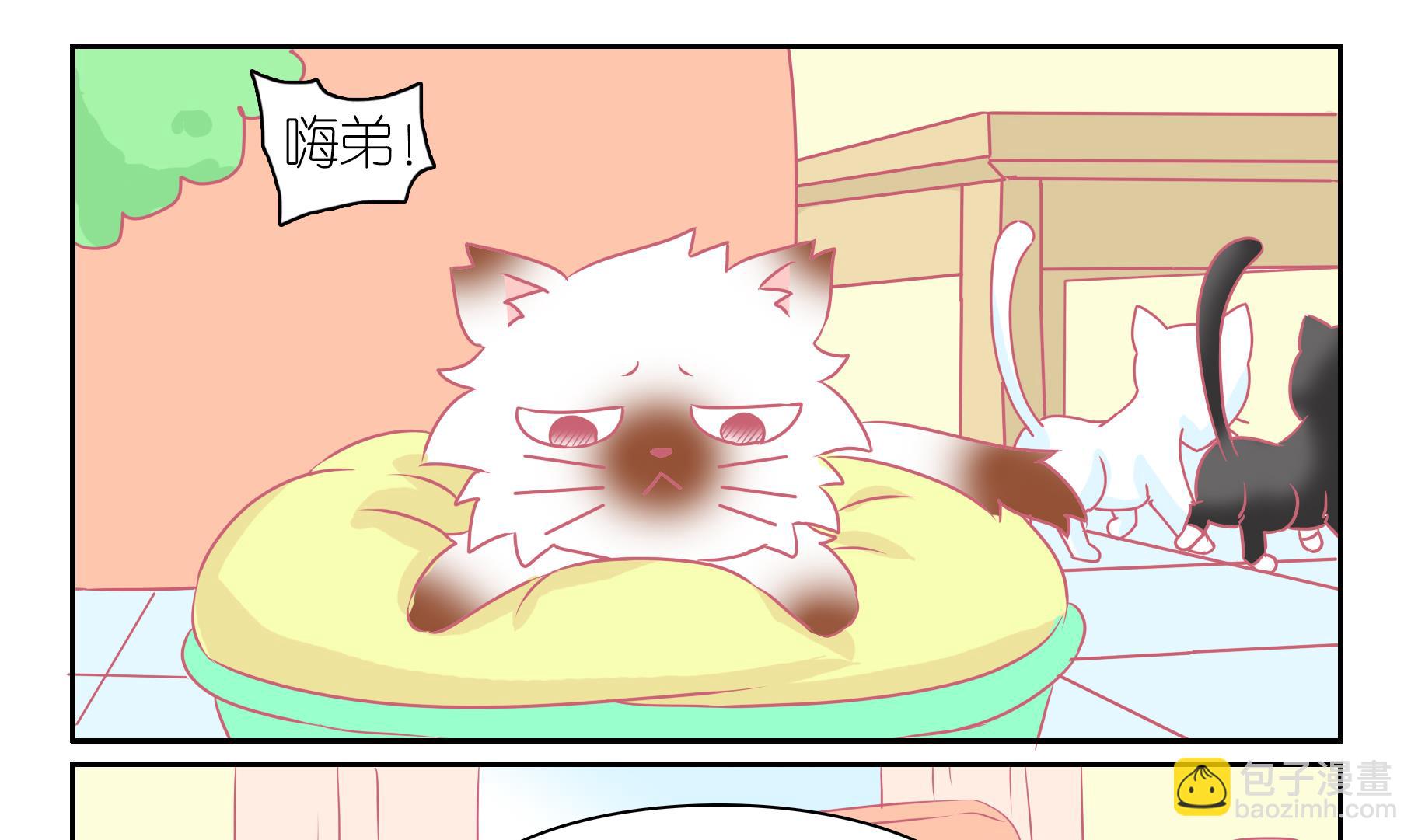 第55话 助喵能手 8-第55话