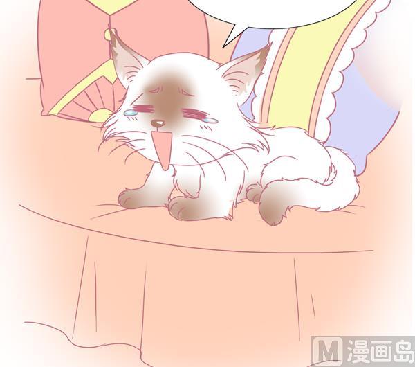 第7话 检查结果 3-第7话