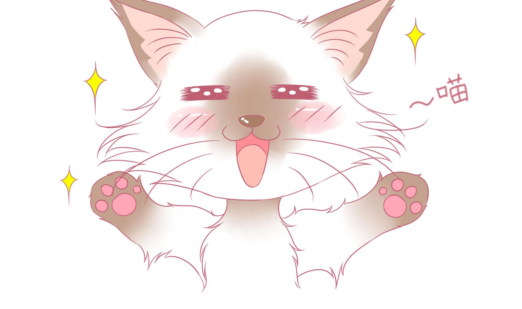 第9话 淘气的嗨弟 1-第9话