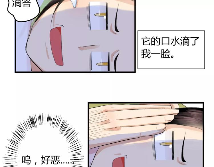 第1+2话 霸道老虎爱上我？(1/4)-第1话