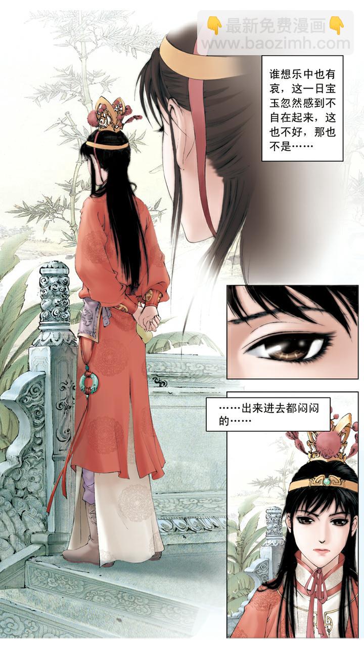 紅樓夢 - 第51話 落紅成陣 - 3