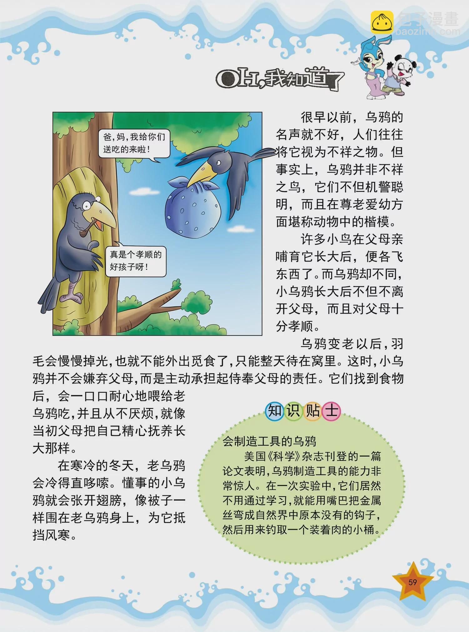 虹貓藍兔十萬個爲什麼之動物卷 - 第7話 爲什麼鯉魚愛跳水 - 2