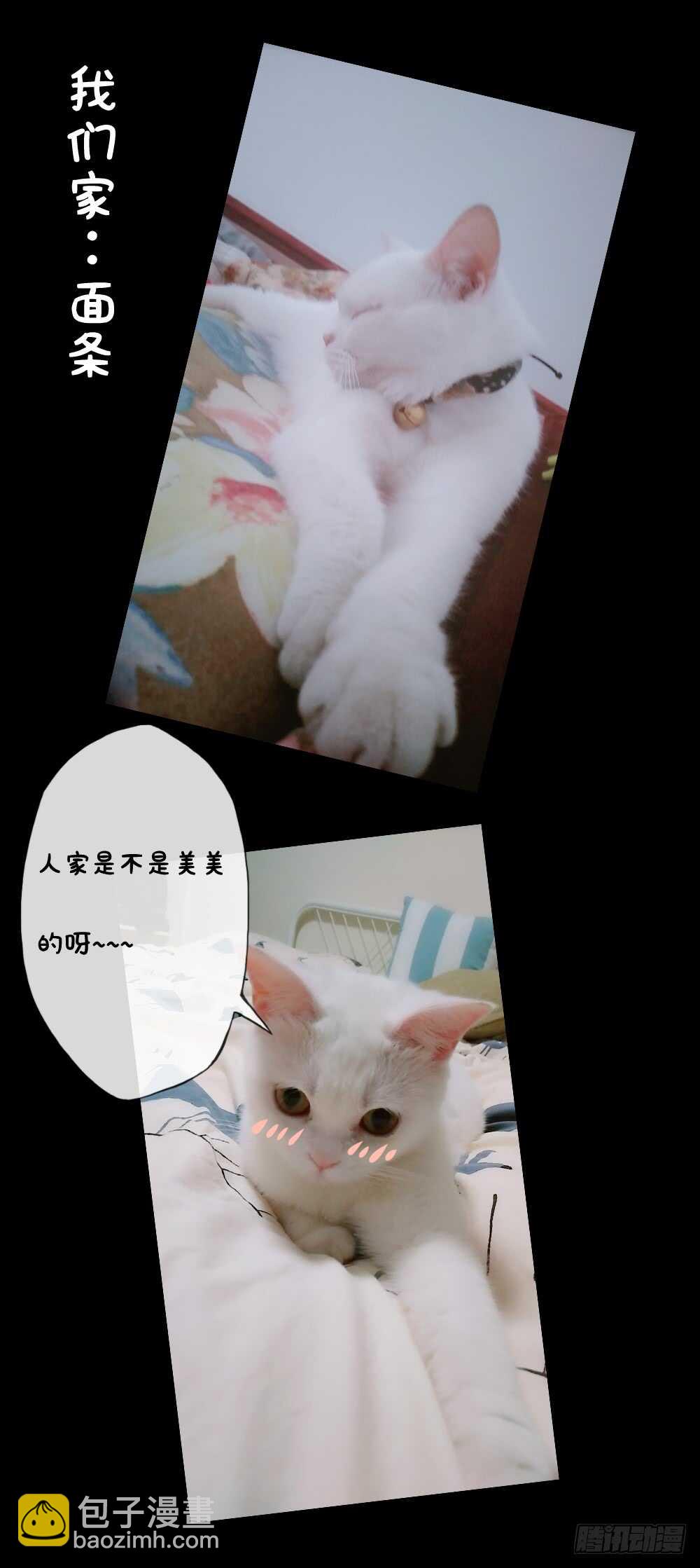 第58话：替你找夫君~-第61话