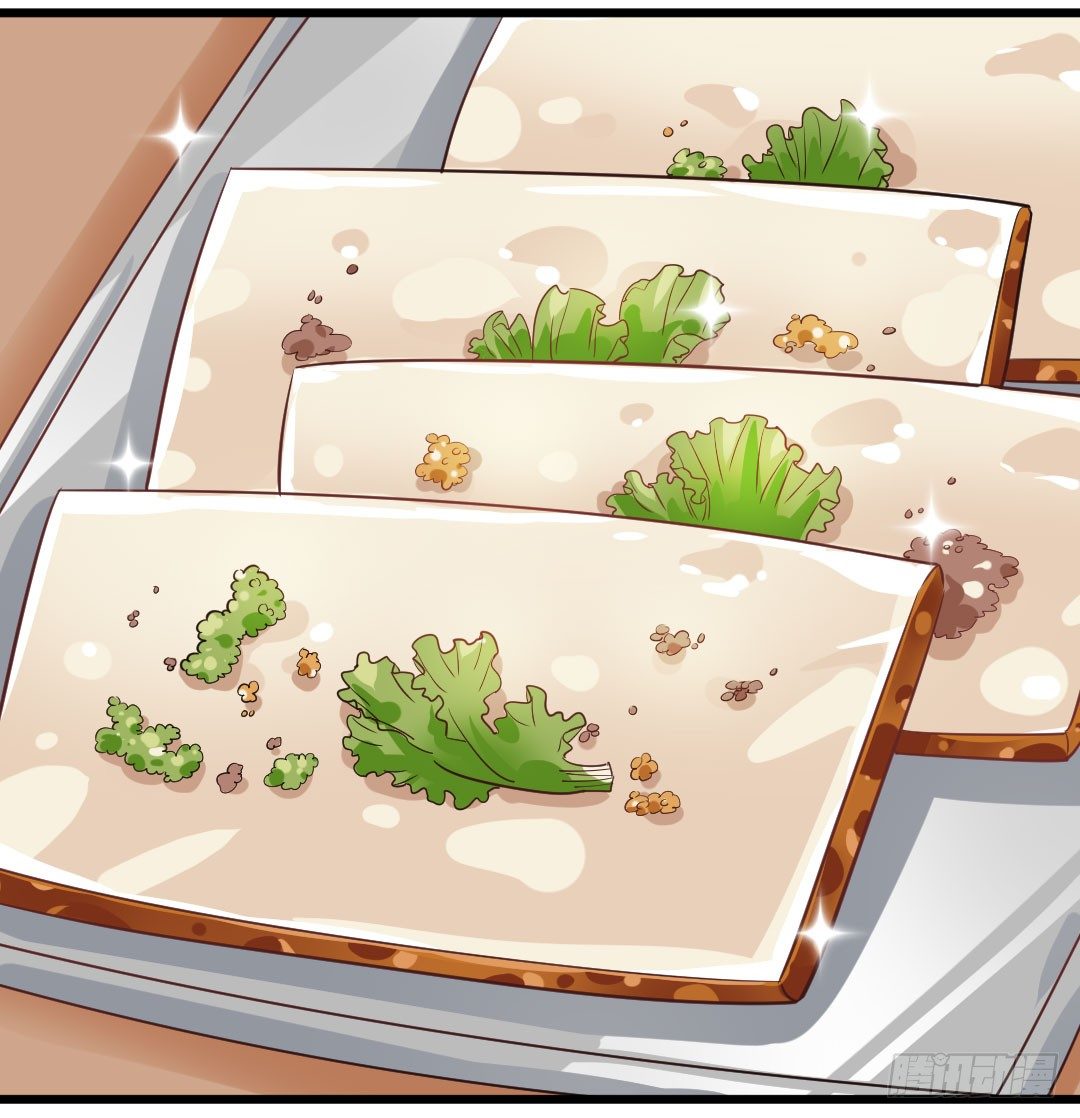 樱桃啊，会不会开花呢？-第63话