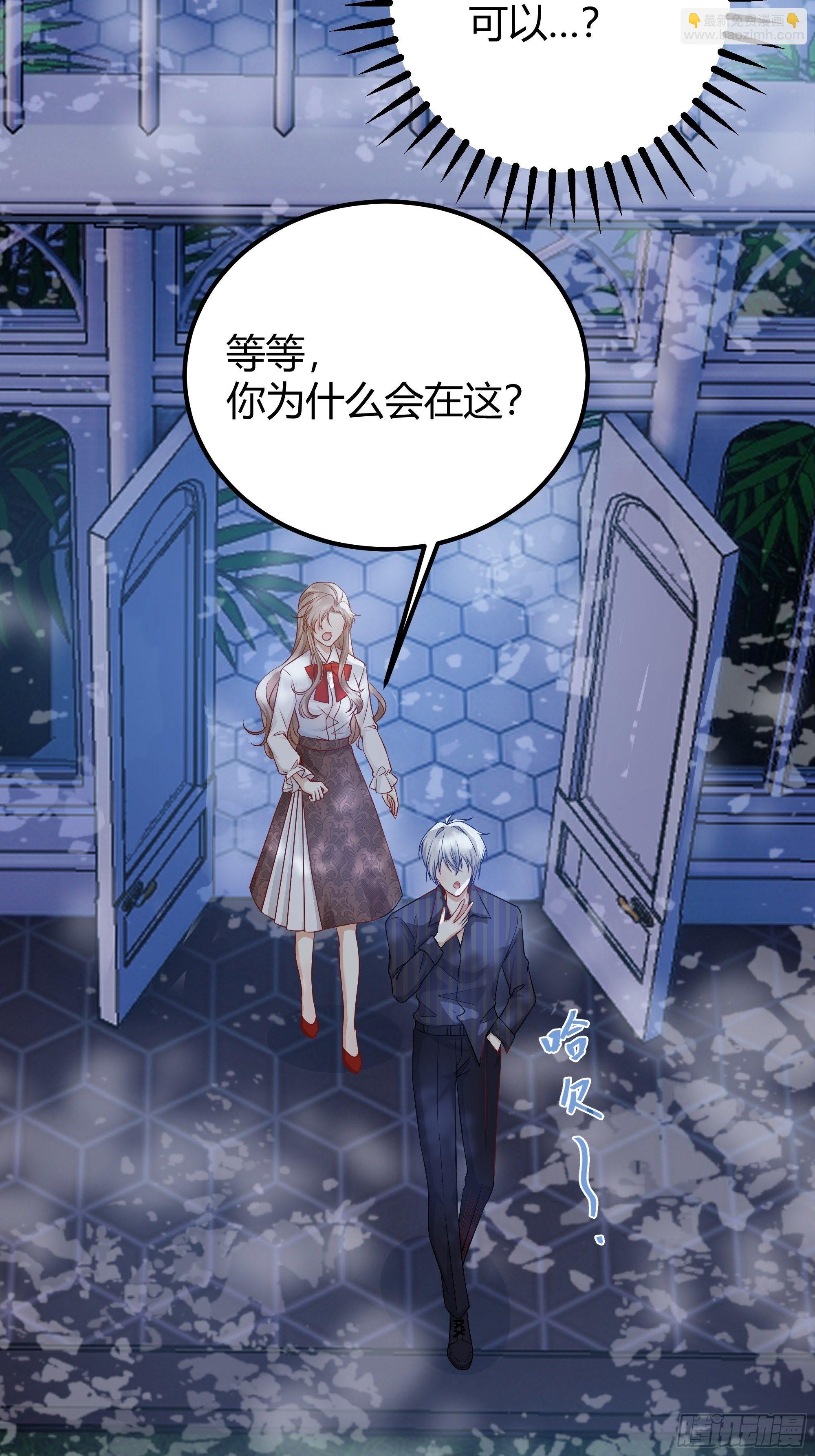 004解锁新后宫？(1/2)-第5话