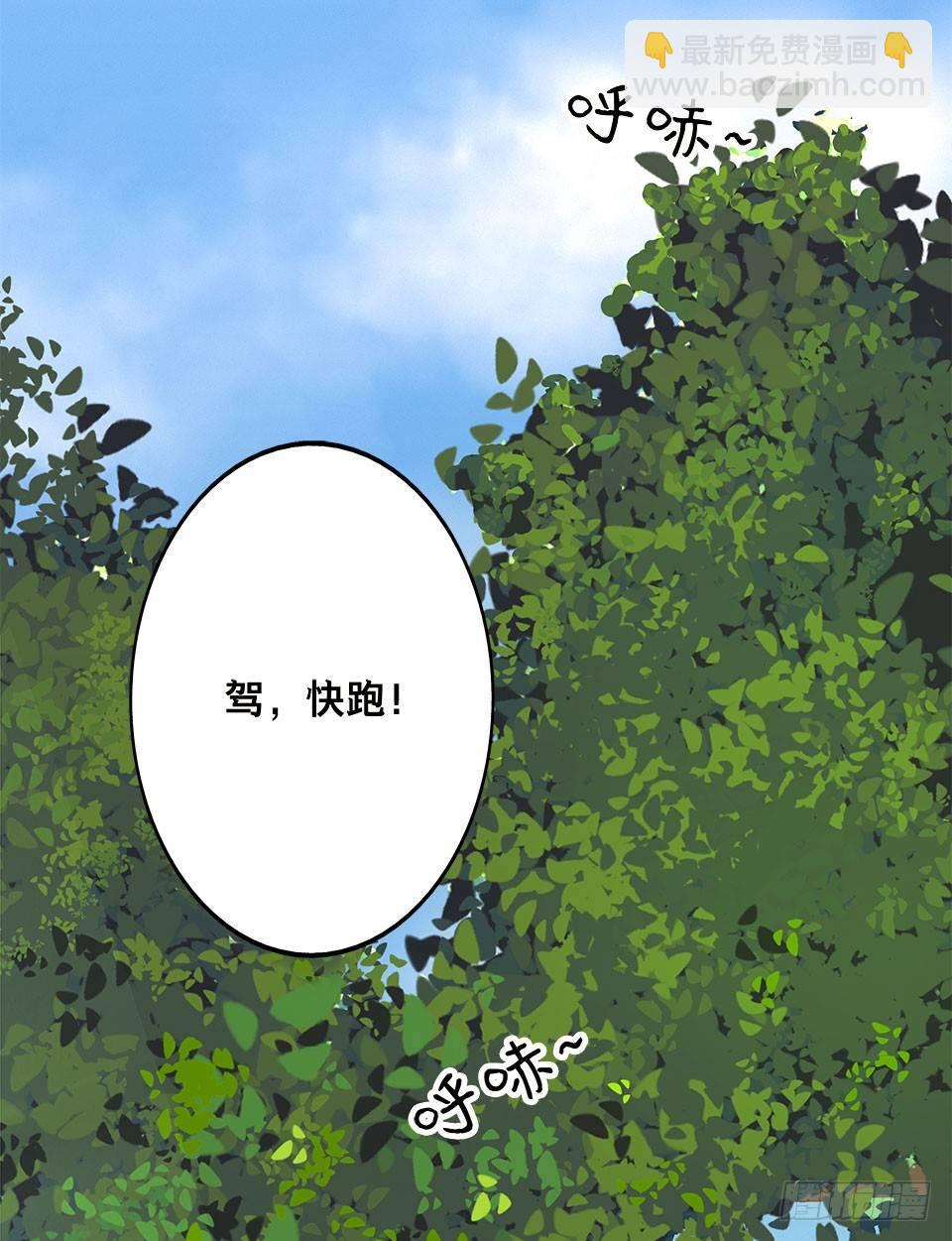 龟-上(1/2)-第29话