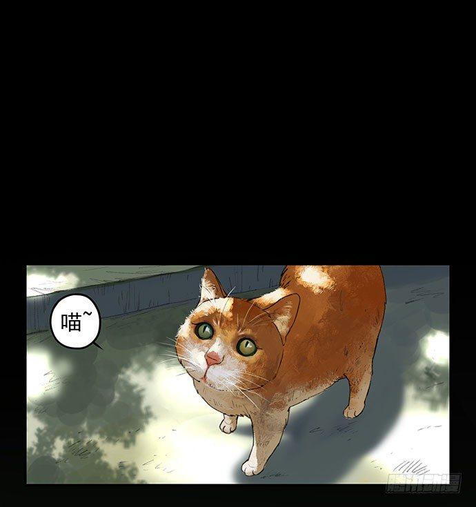 猫-1(1/2)-第41话