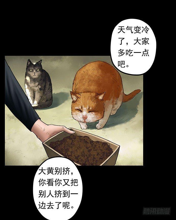 猫-1(1/2)-第41话