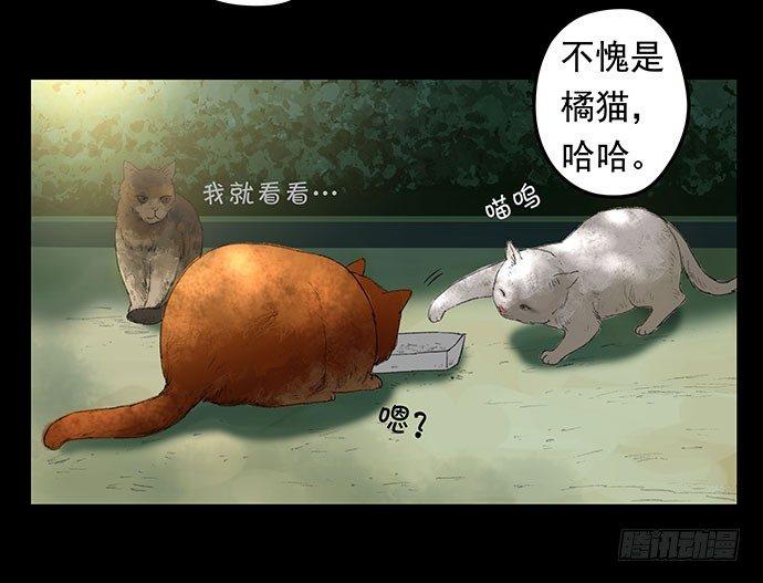 猫-1(1/2)-第41话