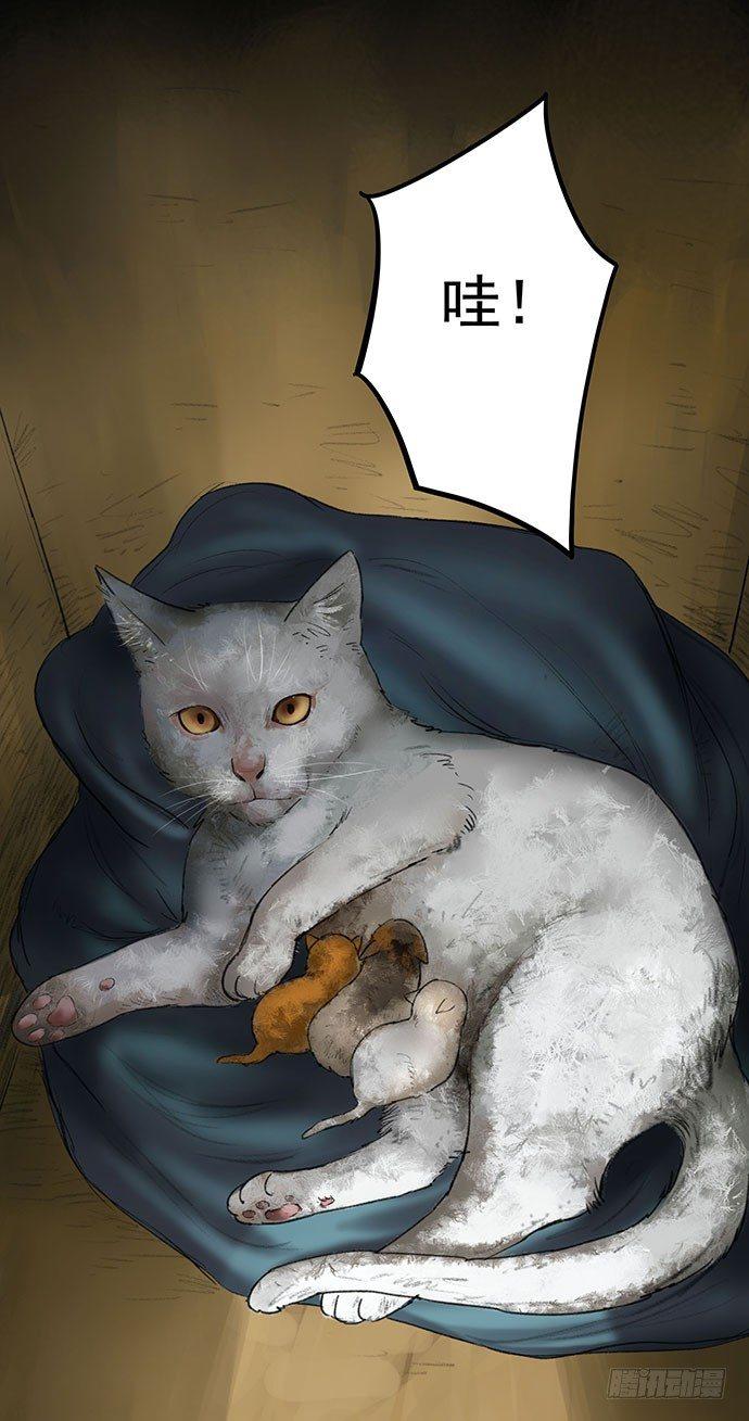 猫-1(1/2)-第41话