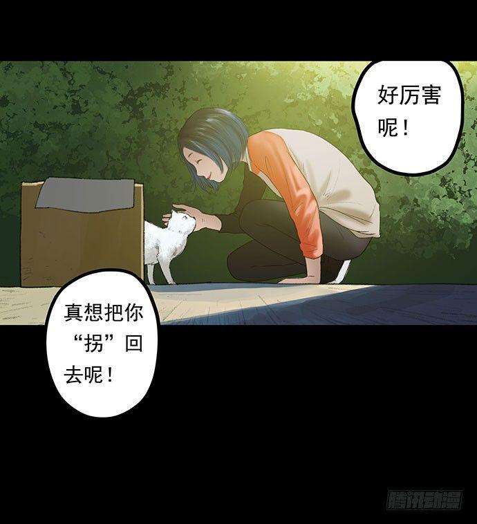 猫-1(1/2)-第41话