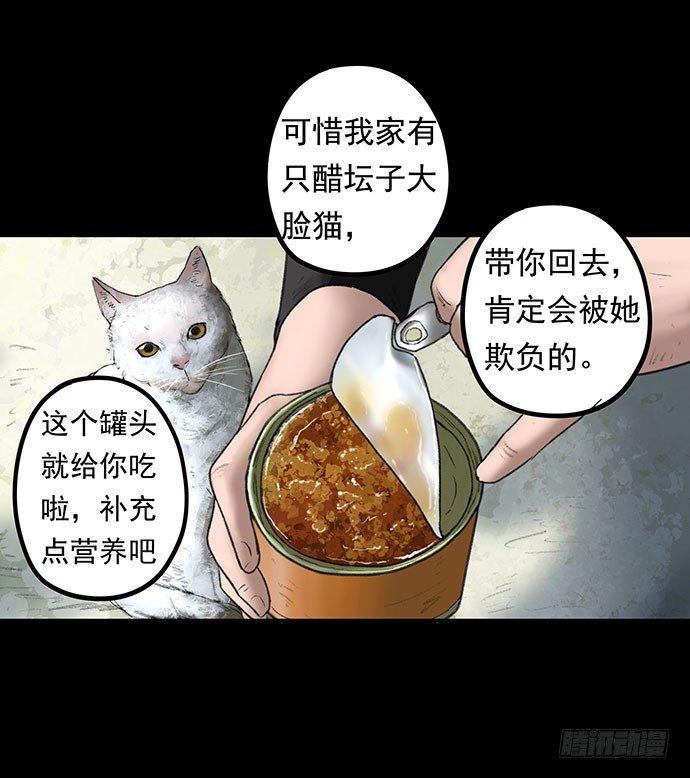 猫-1(1/2)-第41话