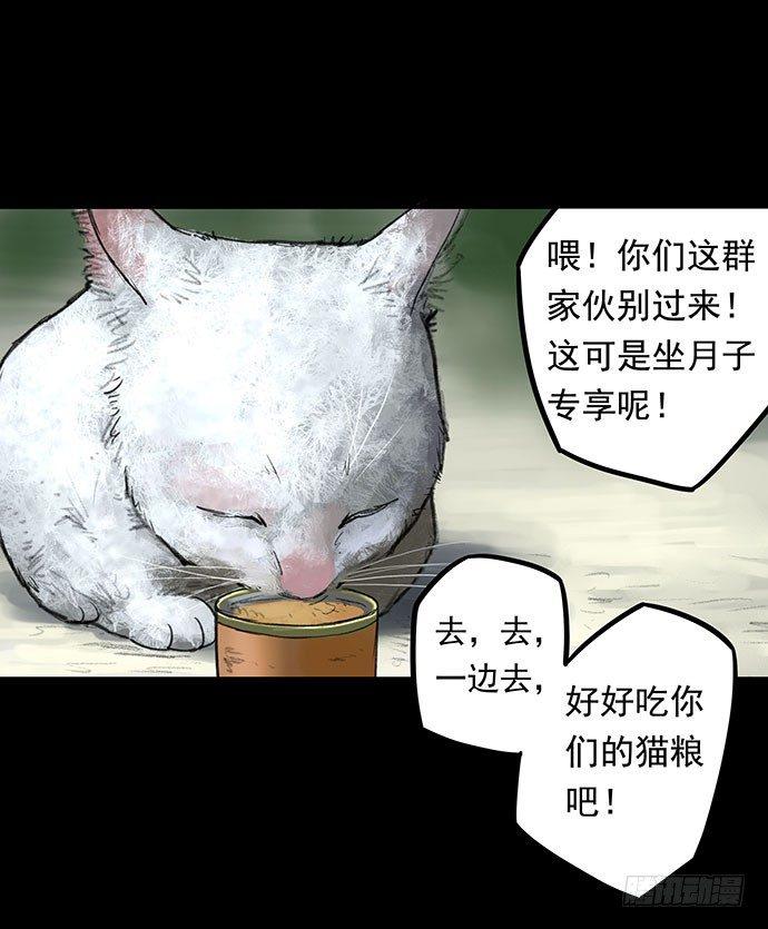 猫-1(1/2)-第41话