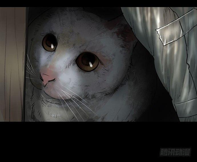 猫-1(1/2)-第41话