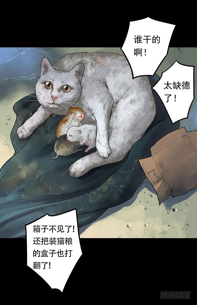 猫-1(1/2)-第41话