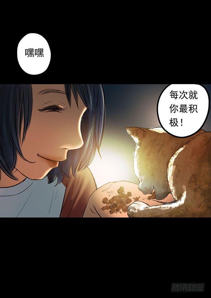 猫-1(1/2)-第41话