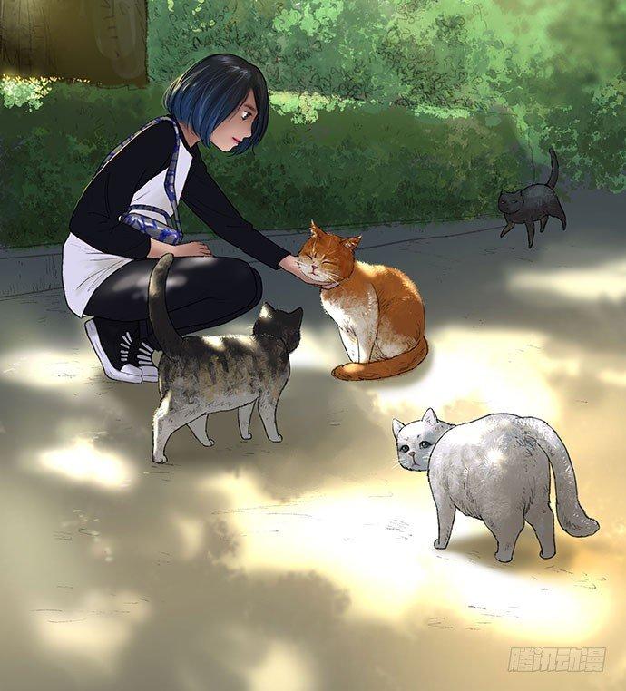 猫-1(1/2)-第41话