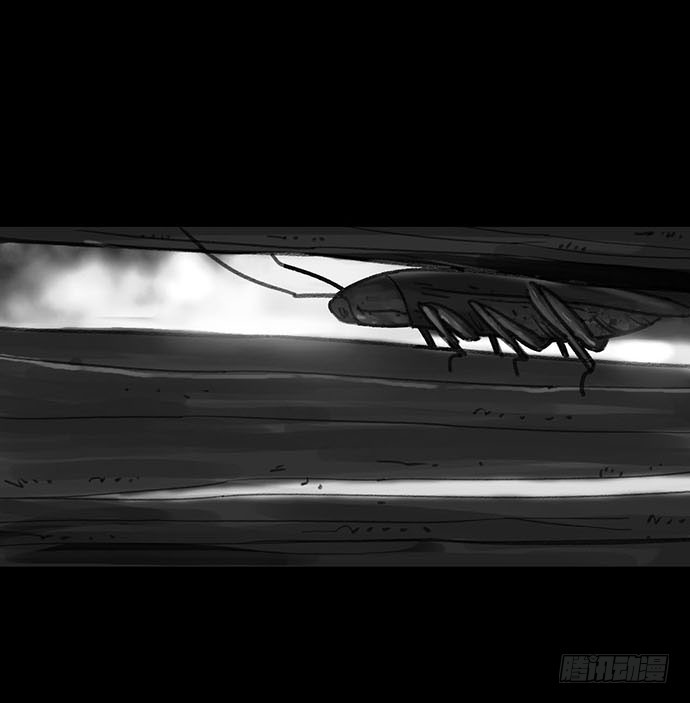 诡片-1(1/3)-第11话