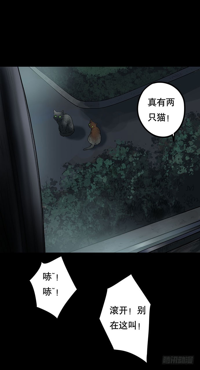 畫詭 - 貓-4(1/2) - 6