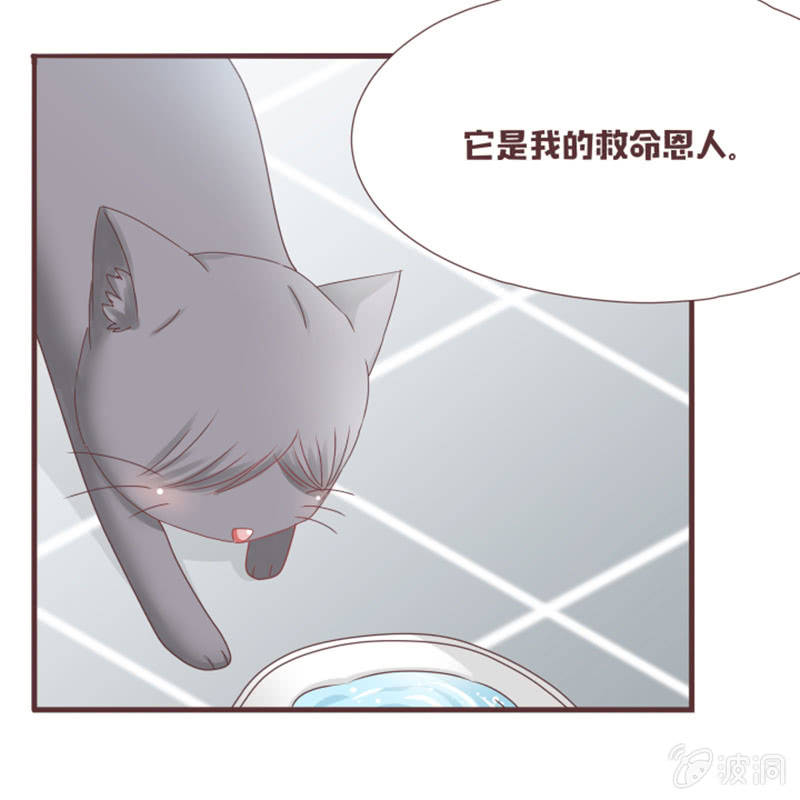 这就误会化解了？！-第23话