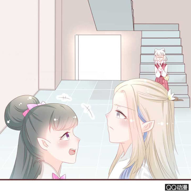 花灵大会临近！-第41话