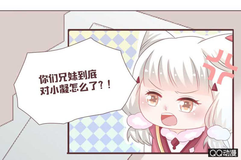 花灵大会临近！-第41话