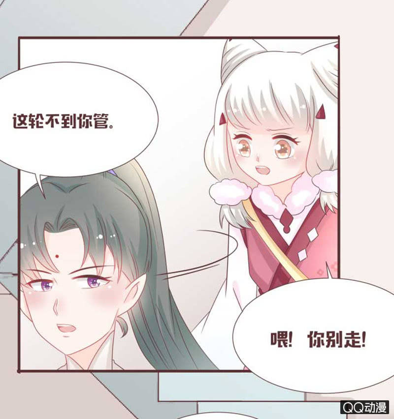 花灵大会临近！-第41话