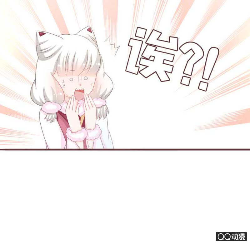 花灵大会临近！-第41话