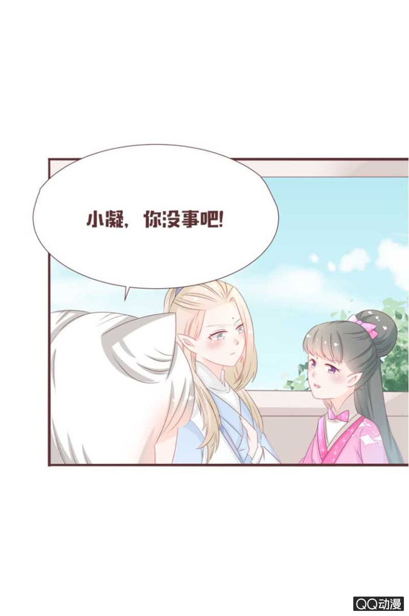 花灵大会临近！-第41话