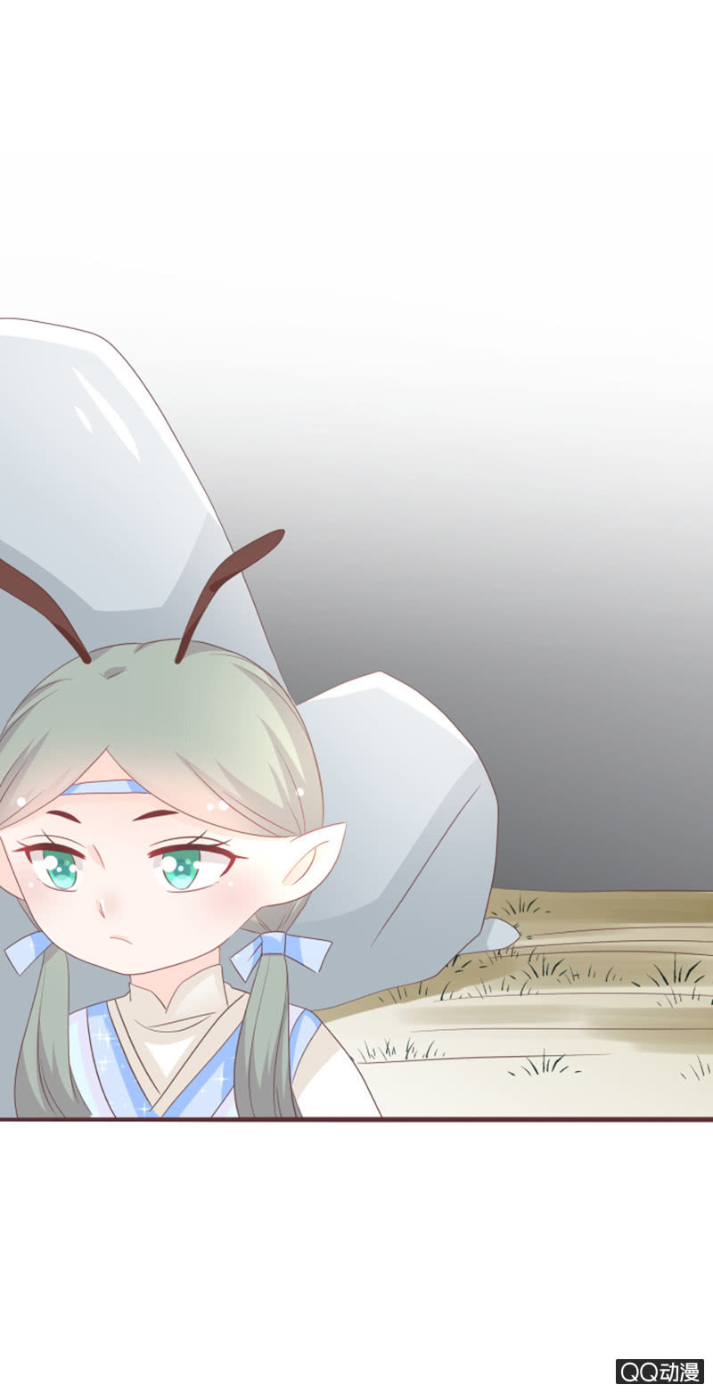 召唤花灵的信物-第51话