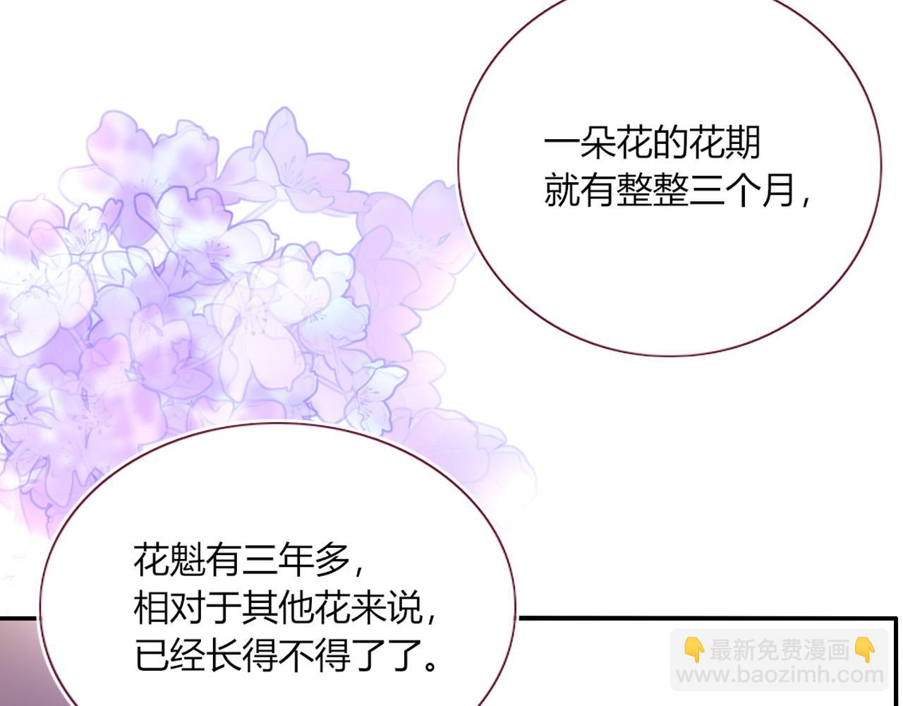 花落成牢 - 第42話 絕世甜花！甜cry我！(2/3) - 4