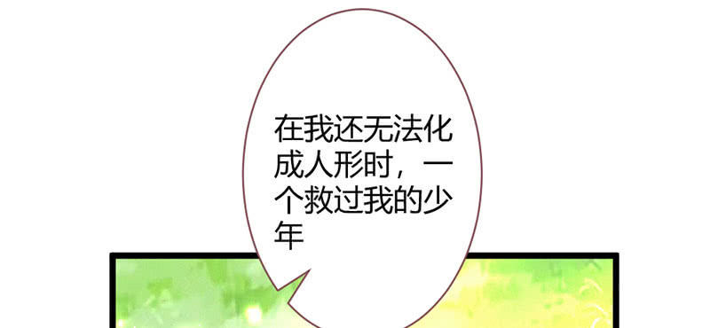 花落一夢 - 你究竟是誰？(2/2) - 4