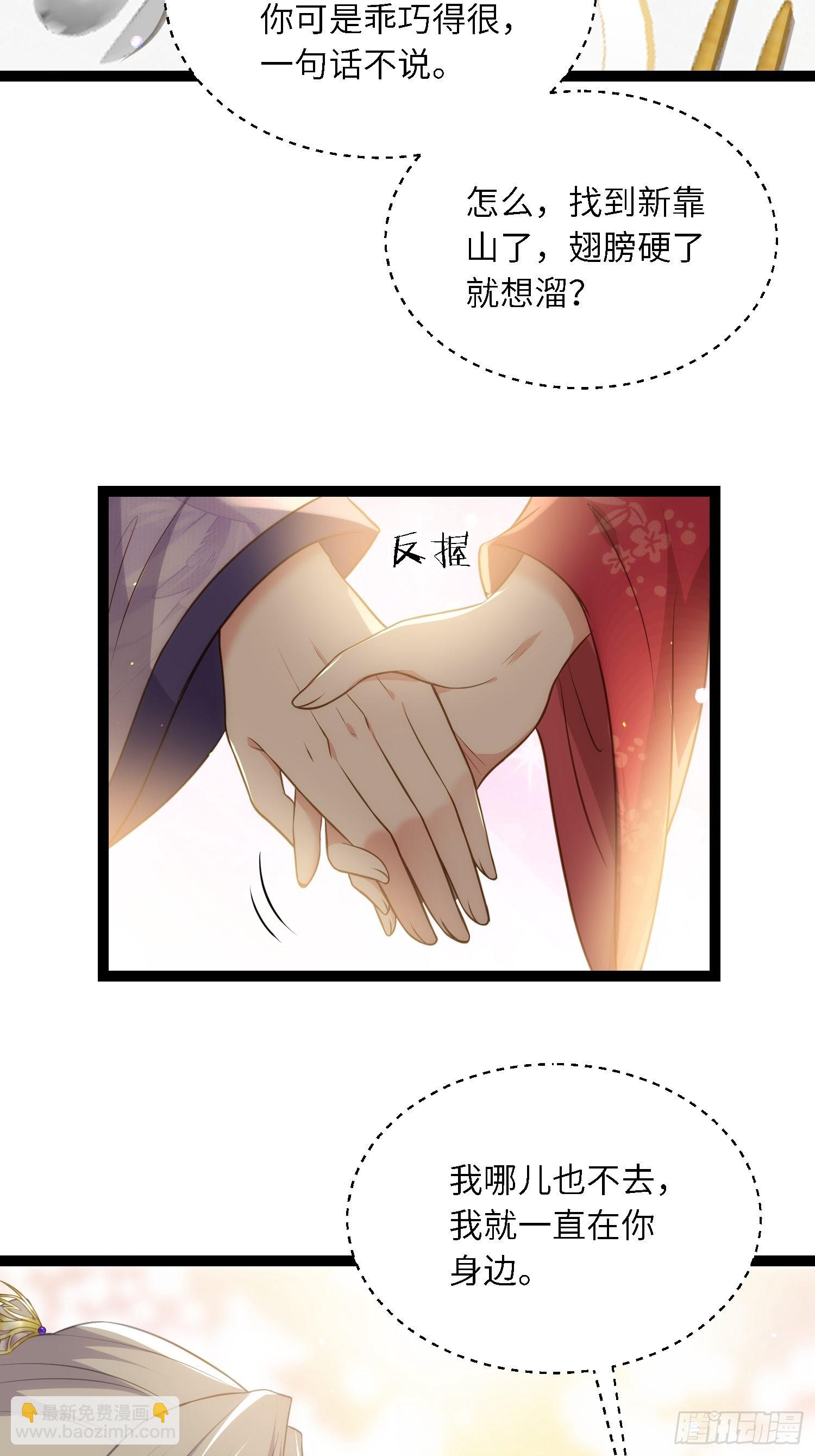 宦妃天下（太監王爺強娶我） - 第259話 長輩們的戰爭 - 4