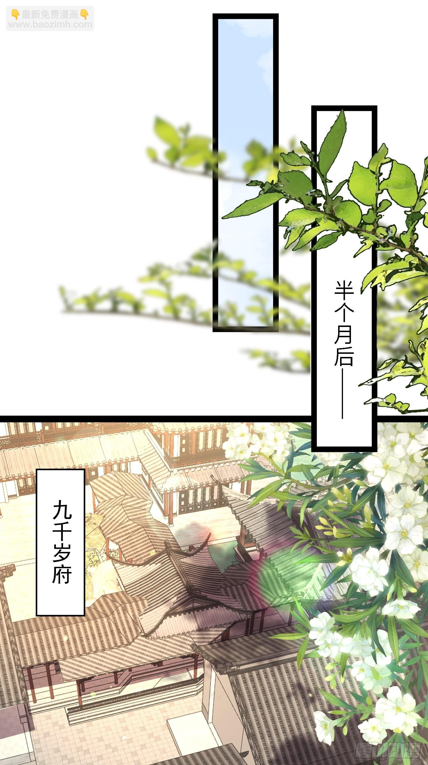 宦妃天下（太監王爺強娶我） - 第267話 本座要回京了 - 4