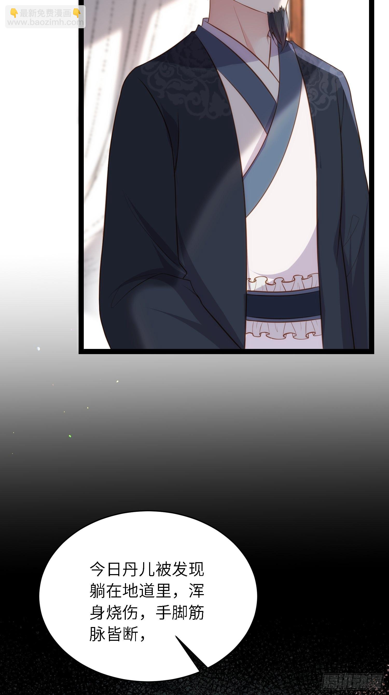 宦妃天下（太監王爺強娶我） - 第285話 大奸臣的謀劃 - 4