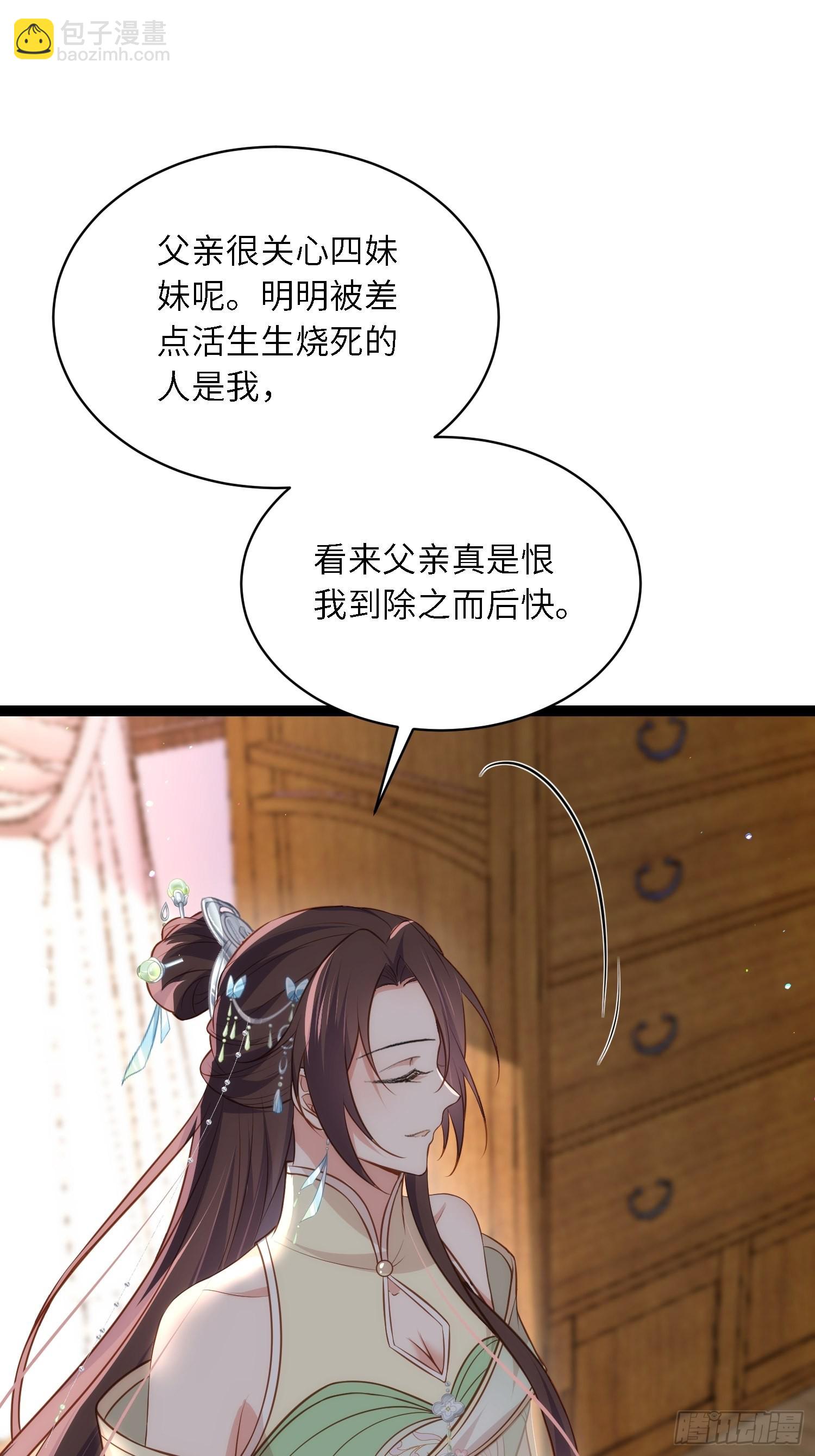 宦妃天下（太監王爺強娶我） - 第285話 大奸臣的謀劃 - 7