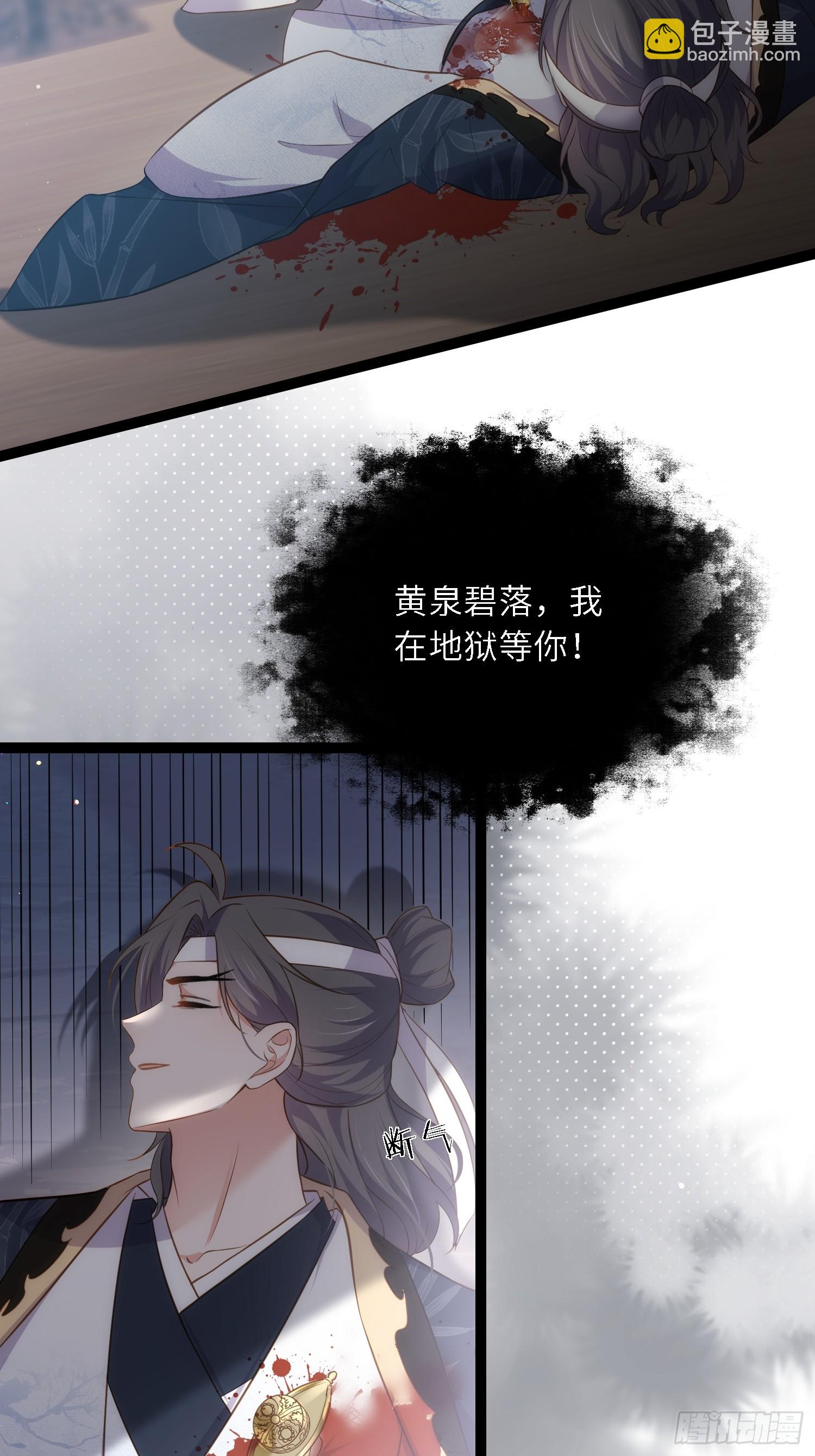 宦妃天下（太監王爺強娶我） - 第295話 兩份遺詔 - 3