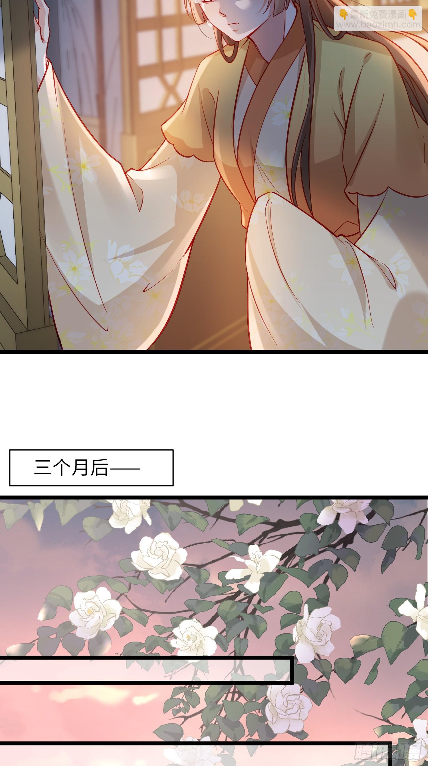 宦妃天下（太監王爺強娶我） - 第416話 秘密養胎 - 6