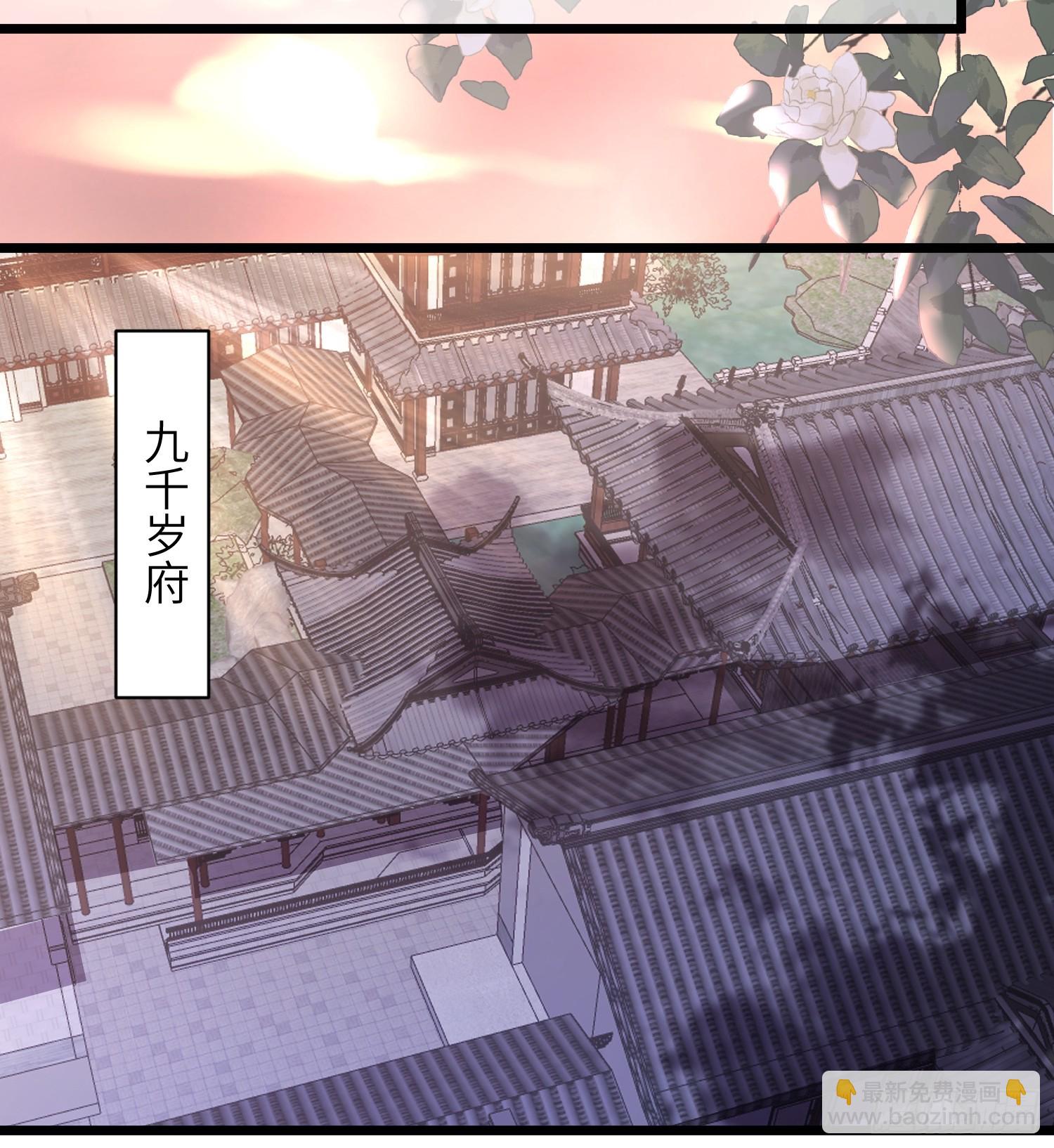 宦妃天下（太監王爺強娶我） - 第416話 秘密養胎 - 1