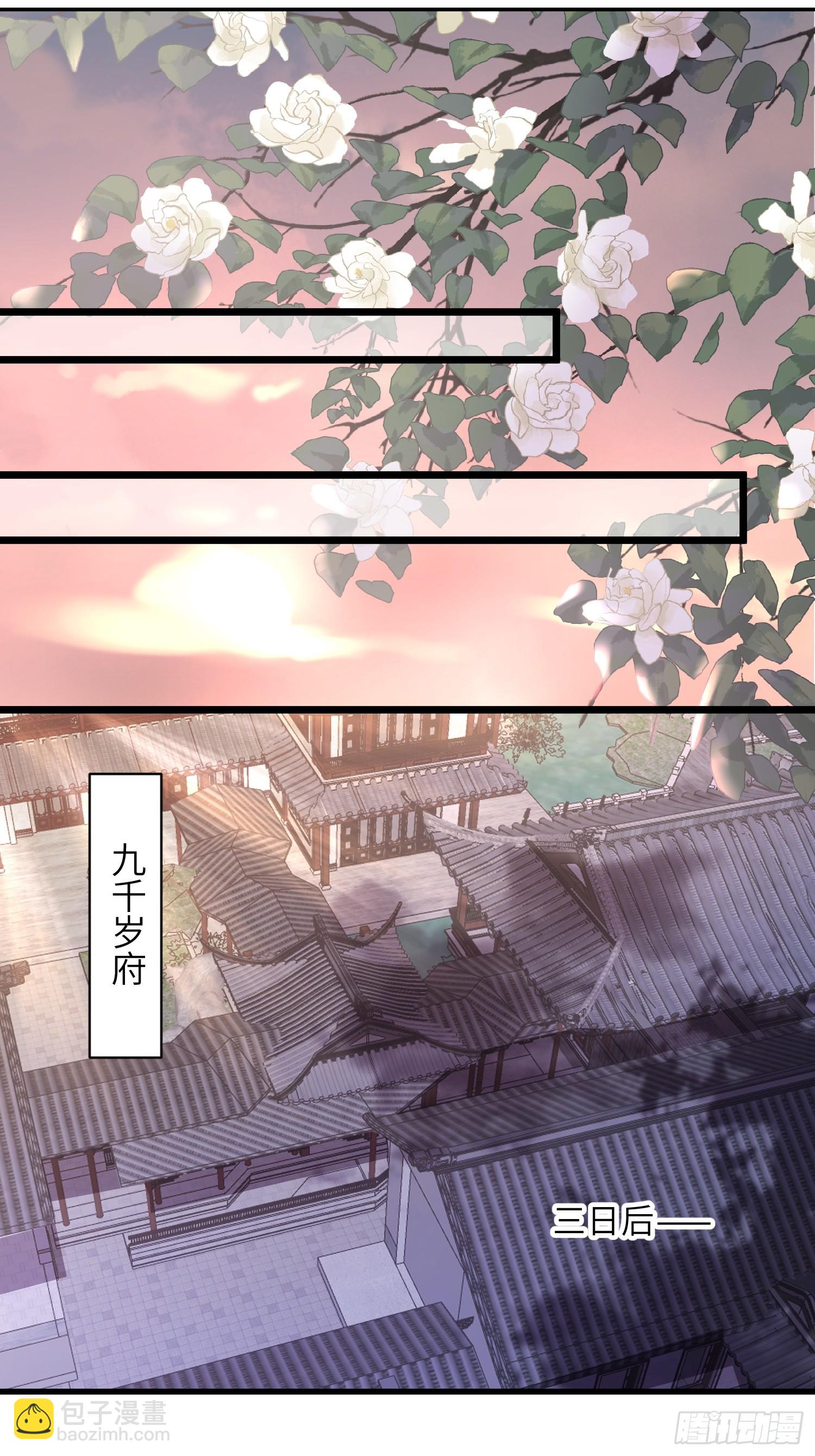 宦妃天下（太監王爺強娶我） - 第424話 莫失莫忘 - 5