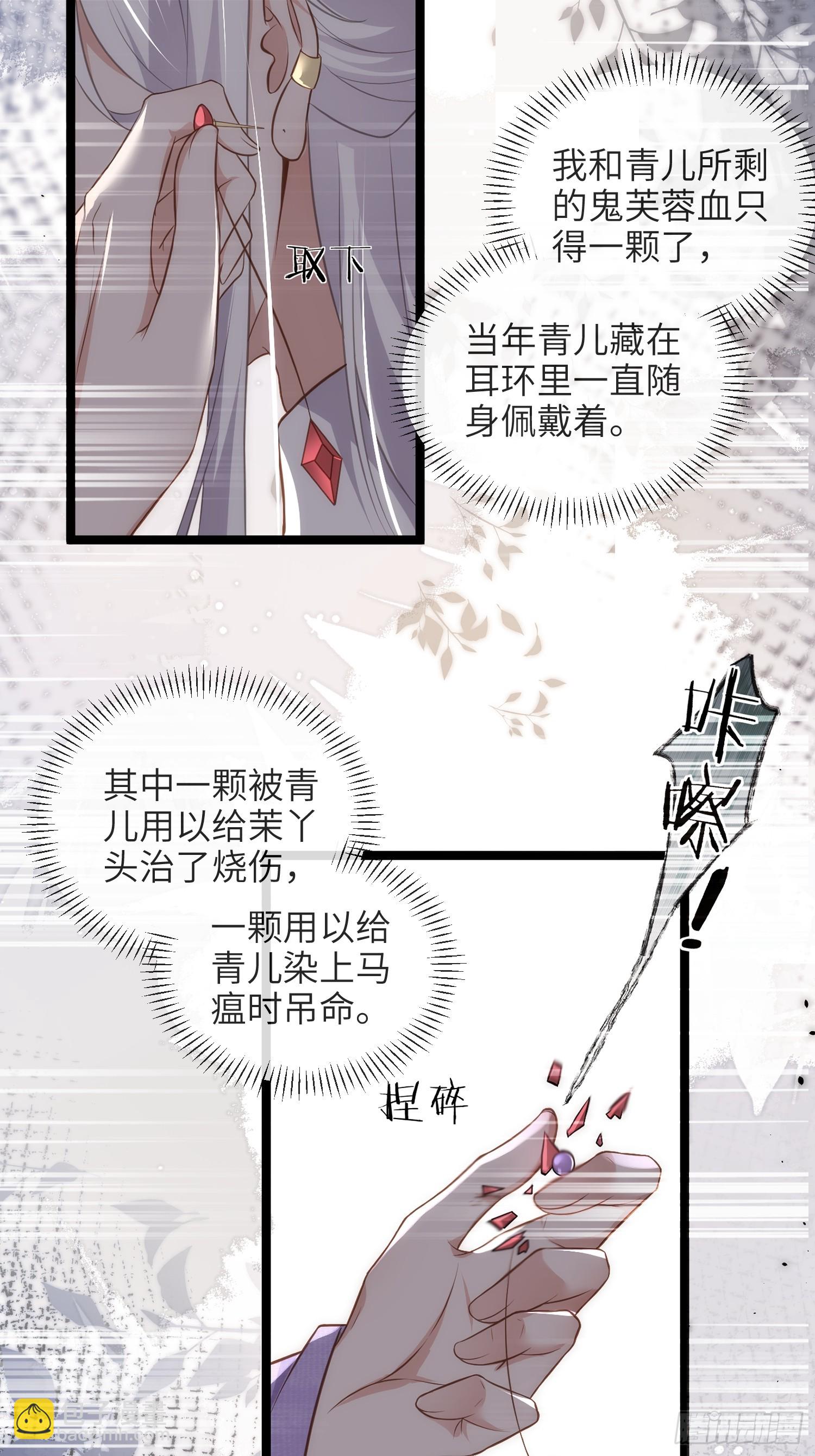 宦妃天下（太監王爺強娶我） - 第426話 阿九回來了？！ - 4