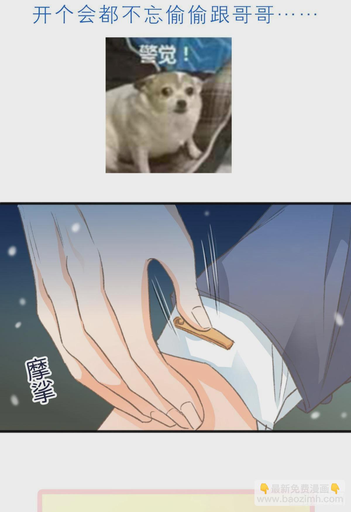 荒誕費洛蒙 - 謝小貓，你真不是個東西(2/2) - 1