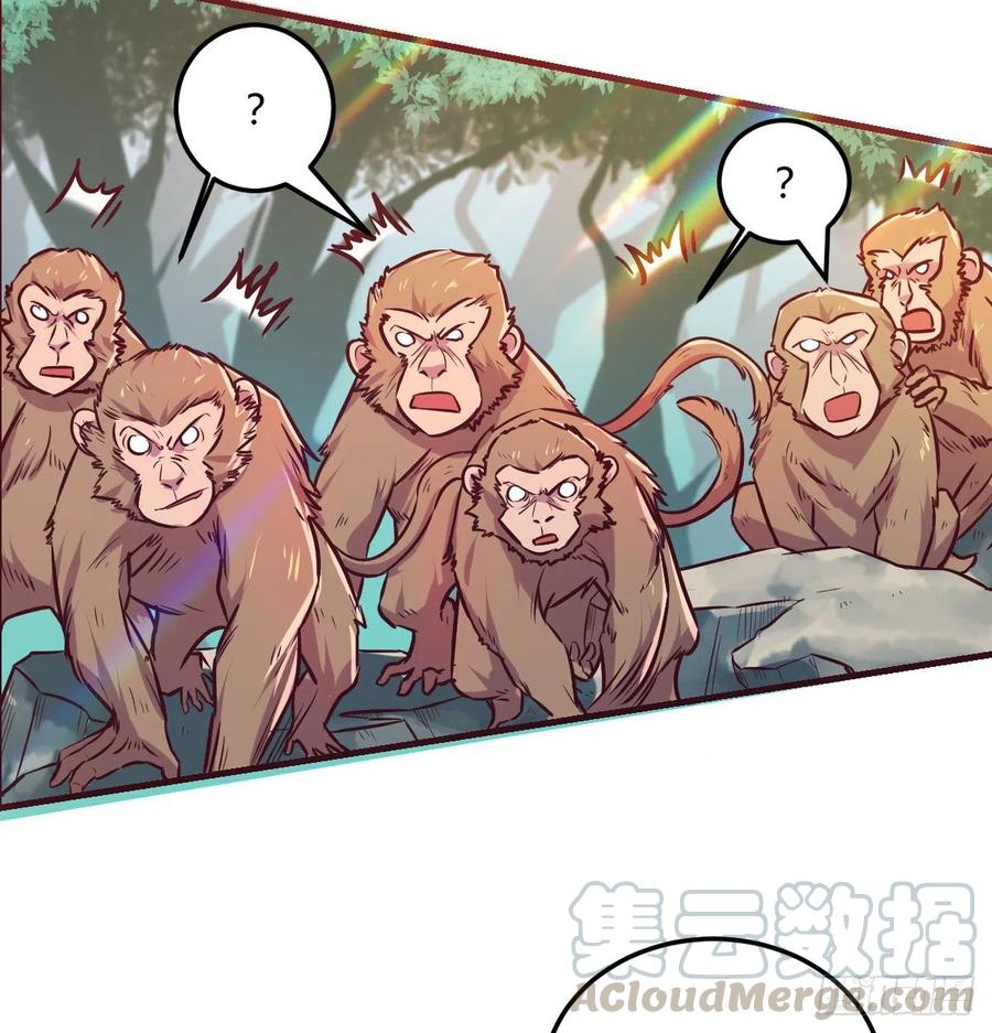 智斗猴群-第23话