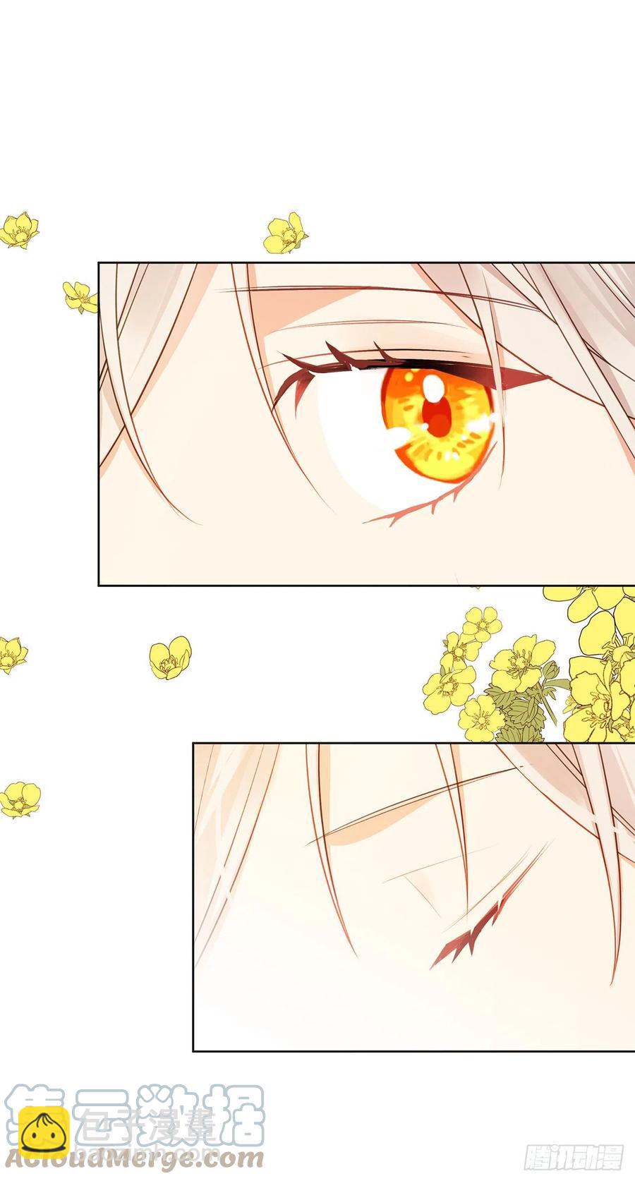 番外8.盛大的婚礼(1/2)-第99话